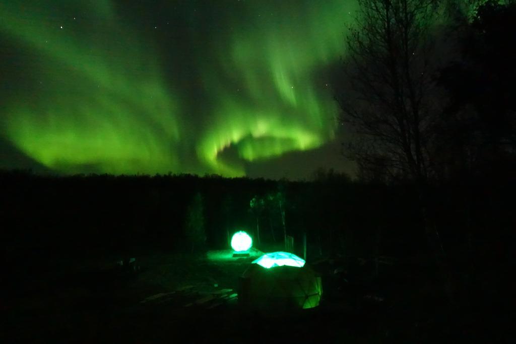 Wild Caribou Dome Hotel ลัคเซลฟ์ ภายนอก รูปภาพ