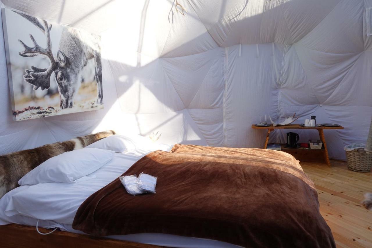 Wild Caribou Dome Hotel ลัคเซลฟ์ ภายนอก รูปภาพ