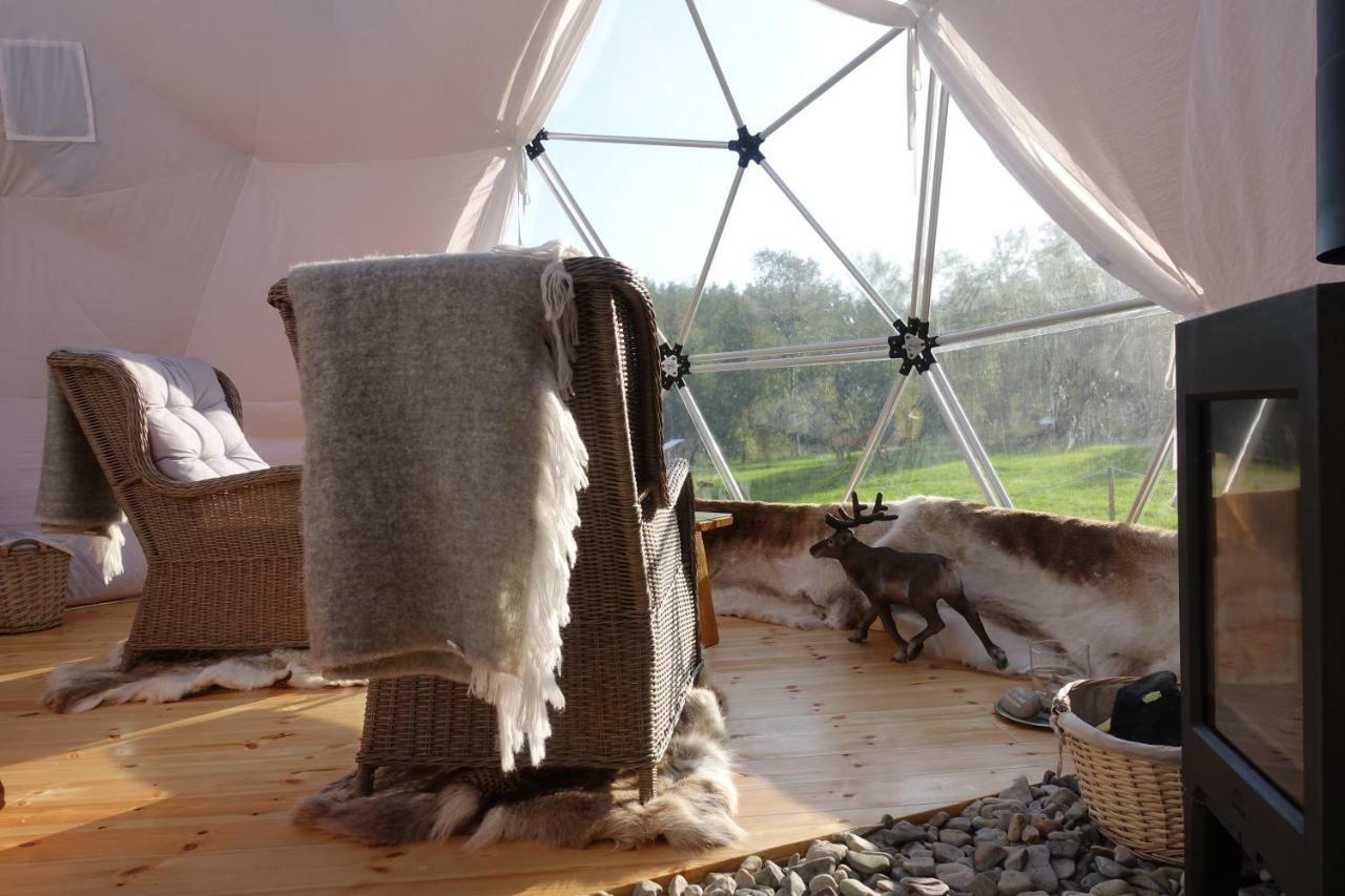 Wild Caribou Dome Hotel ลัคเซลฟ์ ภายนอก รูปภาพ