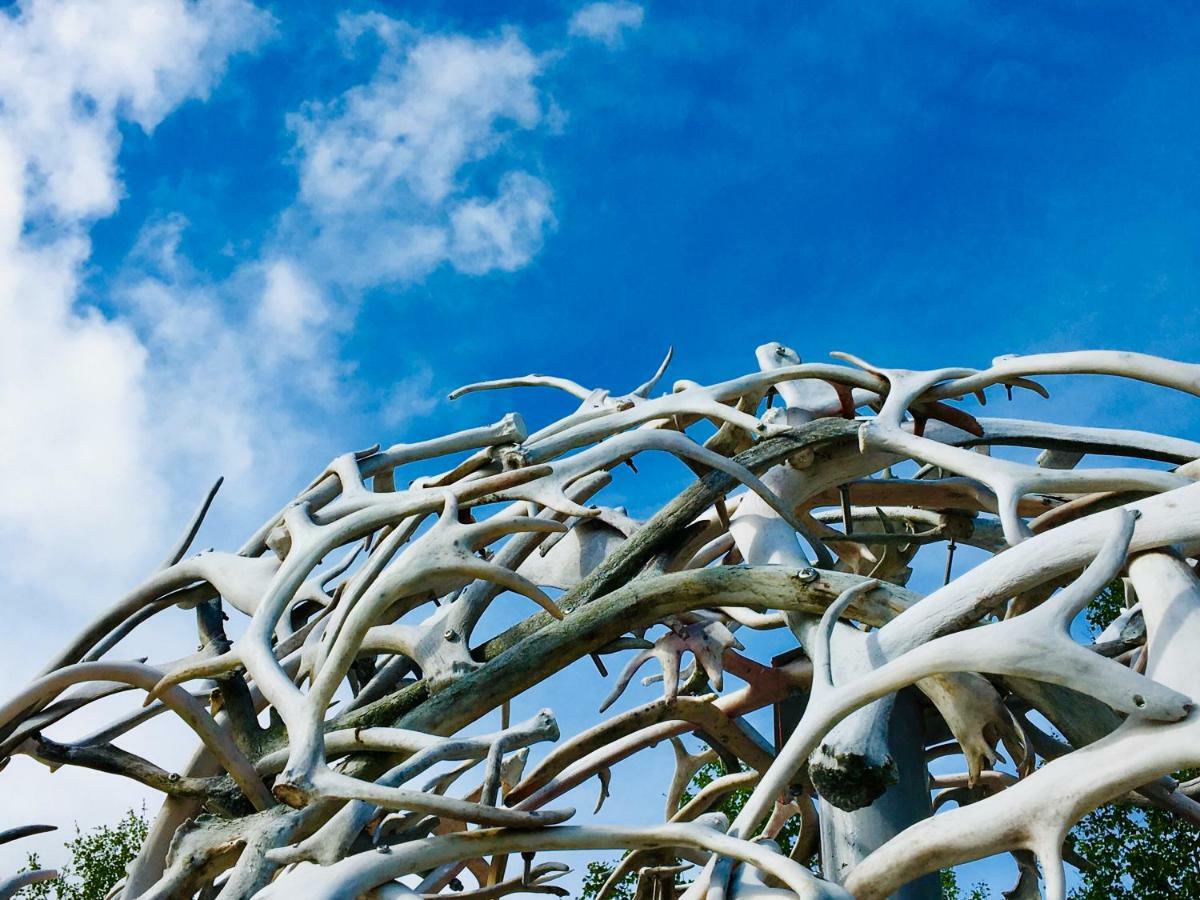 Wild Caribou Dome Hotel ลัคเซลฟ์ ภายนอก รูปภาพ