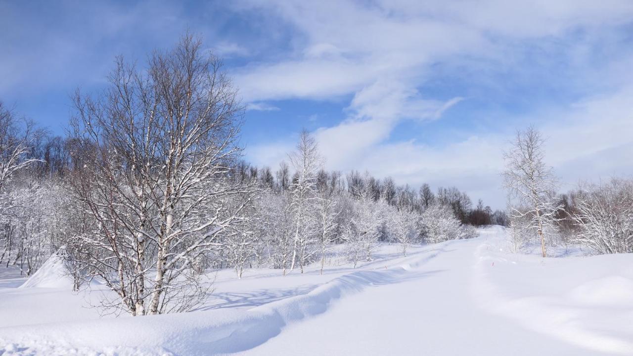 Wild Caribou Dome Hotel ลัคเซลฟ์ ภายนอก รูปภาพ